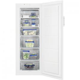 ZANUSSI - Arca Vertical ZUAN22FW