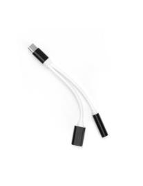 Adaptador Universais AUX - Preto