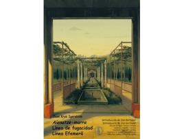 Livro Linea De Fugacidad de Juan Kruz Igerabide (Espanhol)