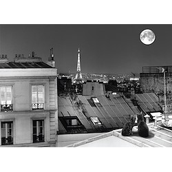 Imagem LUA PARIS