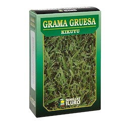 Relva Kikuyu GROSSA  250GR