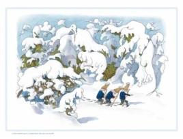 Livro gnomes in the snow advent calendar de ernst kreidolf (inglês)