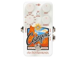 Electro Harmonix Canyon Delay & Looper