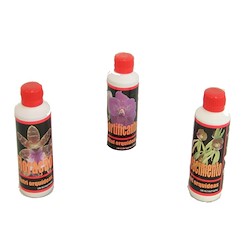 Kit de manutenção ORQUÍDEAS