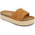 H d  Chinelos YT32  Castanho Disponível em tamanho para senhora. 36,38,39,40.Mulher > Calçasdos > Sandálias