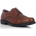 Fluchos  Sapatos -8468  Castanho Disponível em tamanho para homem. 39,40,41,44,46.Homem > Calçasdos > Sapato estilo derbie  