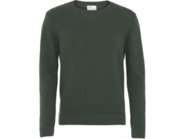 Camisola Unissexo COLORFUL STANDARD (M - Lã - Verde)