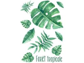 Adesivo para Roupa A4 GRAINE CRÉATIVE Bosque Tropical