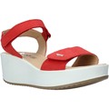 Sandálias 5178166  Vermelho Disponível em tamanho para senhora. 36,37,40.Mulher > Calçasdos > Sandálias e rasteirinhas