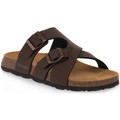Grunland  Chinelos MOGANO 40BOBO  Castanho Disponível em tamanho para homem. 41,42,43,44.Homem > Calçasdos > Sandálias   
