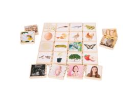 Wooden Lifecycle Tiles TICKIT (Idade minima recomendada: 12 meses)