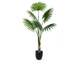 Planta PRESENTES MIGUEL Artificial Palmeira Fan 1.40 Cm