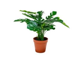 Planta Artificial HOUSE NORDIC Monstera