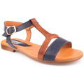 Sandálias L Sandals Lady  Azul Disponível em tamanho para senhora. 36,38,39,40.Mulher > Calçasdos > Sandálias e rasteirinhas