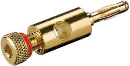 Ficha Banana Dourada Macho - Vermelho