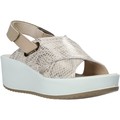 Sandálias 5178411  Outros Disponível em tamanho para senhora. 37,41.Mulher > Calçasdos > Sandálias e rasteirinhas