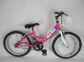 Bicicleta 20' Goldbike Menina Cesta