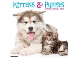 Livro kittens &amp; puppies 2022 wall calendar de willow creek press (inglês)