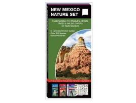Livro new mexico nature set de kavanagh, james,press, waterford (inglês)