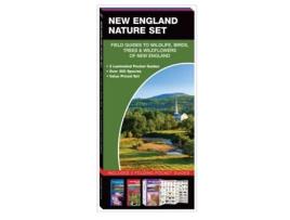 Livro new england nature set de james kavanagh,waterford press (inglês)