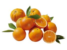 Laranja Bio 1kg