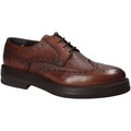 Rogers  Sapatos 751_2  Castanho Disponível em tamanho para homem. 40,45,46.Homem > Calçasdos > Sapato estilo derbie