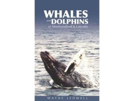 Livro whales & dolphins of newfoundland & labrador de wayne ledwell (inglês)