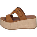 Sara Collection  Chinelos BJ923  Castanho Disponível em tamanho para senhora. 38,39.Mulher > Calçasdos > Sandálias   