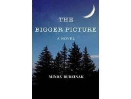 Livro The Bigger Picture de Minda Budzinak ( Inglês )