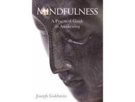 Livro mindfulness de joseph goldstein (inglês)