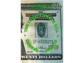 Livro The Twenty Dollar Bill de Elmore Hammes ( Inglês )