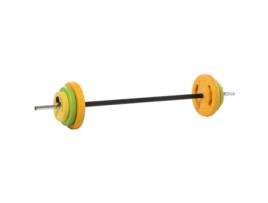 Conjunto de Barra de Pesos Conjunto de Musculação com 6 Discos de Pesos 1,5Kg 2,5Kg 5 kg - HOMCOM