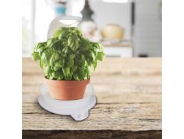 Lâmpada de Mesa de Planta Led H: 24Cm