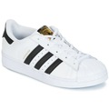 adidas  Sapatilhas SUPERSTAR  Branco Disponível em tamanho para rapaz 28,29,30,31,32,33,28 1/2.Criança > Menino > Sapatos > Tenis  