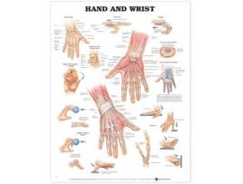 Livro hand and wrist anatomical chart de prepared for publication by anatomical chart company (inglês)
