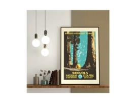 Cartaz PLAKAT Sequoia