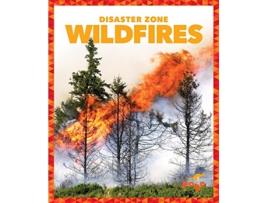 Livro wildfires de vanessa black (inglês)