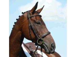 Cabeçada Alta Cavesson WEATHERBEETA Collegiate Syntovia