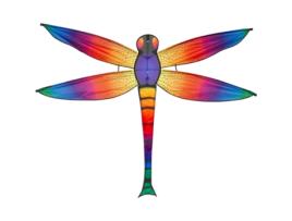 Brinquedo INVENTO Dragonfly (5 anos)