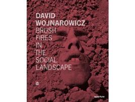 Livro Livro David Wojnarowicz de Vários Autores (Inglês) de Lucy Lippard, David Wojnarowicz, Vince Aletti, Barry Blinderman, Cynthia Carr, David Cole, Shannon Ebner, Leonard ( Inglês )