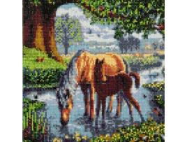 Pintura Diamante Cavalos 30 X 30 Cm Youdoit CRYSTAL ART