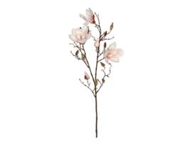 MAGNOLIA COR ROSA 88CM