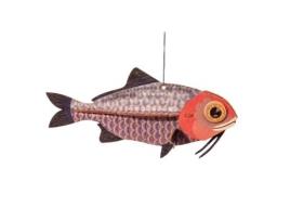 Mini Modelo de Peixe 3D de Madeira para Montar Youdoit PIROUETTE CACAHOUÈTE