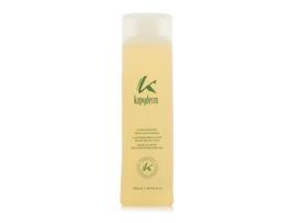 Champô para Cabelos Gordurosas Kapyderm 250 ml