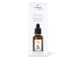 Essência Humidificador Flor de Cerejeira Ambar Zen 50Ml AMBAR PERFUMS