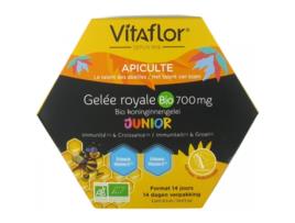 Geléia Real Bio 700 Mg Junior 14 Monodose VITAFLOR