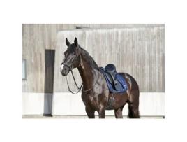Cabeçadas de Equitação para Cavalos com Focinheira Standard Rebaixada e Almofadada HORSEGUARD Cryll 23.1