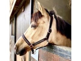 Cabresto para Cavalos HEKKTOR Horus