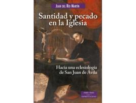 Livro Santidad Y Pecado En La Iglesia de Juan Del Río Martin (Espanhol)