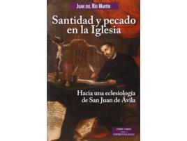 Livro Santidad Y Pecado En La Iglesia de Juan Del Río Martin (Espanhol)
